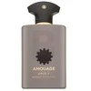 Amouage Opus V Woods Symphony EDP kvepalai vyrams, 100 ml