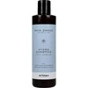 Artègo Rain Dance Hydra Šampūnas drėkinamasis šampūnas, 250 ml
