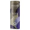 Attitude Coconut-scented lip balm (Lūpų balzamas) 8.5 g