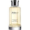 Baldessarini After Shave Lotion losjonas po skutimosi, 75 ml