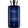 Baldessarini Signature EDT tualetinis vanduo vyrams, 90 ml