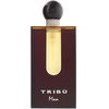 Benetton Tribu EDP parfumuotas vanduo vyrams, 100 ml