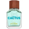 Benetton United Dreams Žalias Cactus EDT tualetinis vanduo vyrams, 100 ml