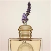 Kvepalų rinkinys moterims Burberry Goddess (EDP, 100 ml + kūno losjonas, 75 ml + EDP, 10 ml)