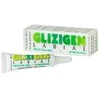 Catalysis Glizigen lūpų kremas 5ml