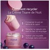 Caudalie Resveratrol- Lift Night Tisane Kreminis Refill naktinio veido kremo papildymas, 50 ml