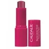 Caudalie Tinted Lūpų balzamas atspalvį suteikiantis lūpų balzamas, 4.5 g