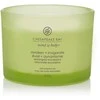 Chesapeake Bay Candle 3 dagčių žvakė –Awaken &amp; Invigorate (Lemongrass Eucalyptus)