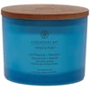 Chesapeake Bay Candle 3 dagčių žvakė – Confidence & Freedom (Oak Moss Amber)