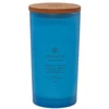Chesapeake Bay Candle didelė žvakė – Confidence & Freedom (Oak Moss Amber)