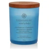 Chesapeake Bay Candle maža žvakė – Confidence & Freedom (Oak Moss Amber)