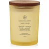 Chesapeake Bay Candle vidutinė žvakė – Strength & Energy (Pineapple Coconut)