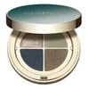 Clarins Ombre 4 spalvų akių šešėlių paletė, 05 Jade Gradation 4, 2 g