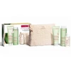 „Clarins Purifying Gentle Foaming“ valiklis, 125 ml, 3 dalių rinkinys