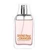 Cottage EDT 50 Vap Divine F Oranžinis 8805