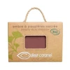 Couleur Caramel Makeup akių šešėliai 099 Pepite Cuivre