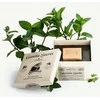 Gamila Secret mėtų skonio blizgantis muilas 115 g