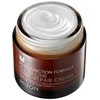Daugiafunkcis veido kremas All in One Snail Repair Kreminis Mizon su sraigių ekstraktu, 75 ml