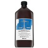 Davines NATURALTECH Rebalancing Šampūnas šampūnas riebiai galvos odai ir plaukams, 1000 ml
