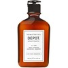 Depot 100 Hair Cleansing No. 109 Hair Treatment šampūnas, 250 ml