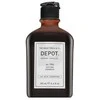 Depot 100 plaukų valymo priemonė Nr. 104 su botaniniu kompleksu, skirta neutralizuoti geltonus atspalvius, 250 ml