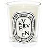 Diptyque Verveine Scented Candle kvapioji žvakė, 70 g