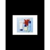 Don Algodón Est D Algodon 100 Body 200ml Gel Ducha 200ml rinkinys
