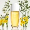 Elizabeth Arden Sunflowers Sunrise EDT tualetinis vanduo moterims, 100 ml