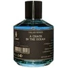 Emir A Chaos In The Ocean EDP parfumuotas vanduo unisex, 100 ml