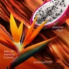 Kvepalų rinkinys moterims ESCADA Bali Paradise (EDT, 30 ml + dekoratyvinė juostelė)