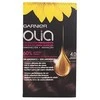 Garnier Olia Permanent Coloring 4,0 Brown plaukų dažai