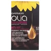 Garnier Olia Permanent Coloring 4,0 Brown plaukų dažai