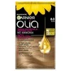 Garnier Olia Permanent Color 8.0 Blond