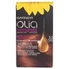 Garnier Olia Permanent Coloring 5,3 Capuccino plaukų dažai