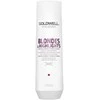Goldwell Dualsenses Blondes & Highlights Šampūnas šampūnas šviesintiems plaukams, 250 ml