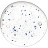 Hadat Cosmetics Microcapsules Šampūnas mikrokapsulės šampūnas, 250 ml