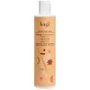 Hagi Spiced Oranžinis, 300 ml