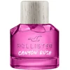 Hollister Canyon Rush For Her kvepalų purškalas 50ml