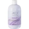 Inebrya GREYlosophy Pilkas By Day Šampūnas tonuojantis šampūnas natūraliai žiliems / balintiems plaukams, 300 ml