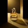 Jean Paul Gaultier Scandal Pour Homme Absolu Parfum Concentré PP kvepalai vyrams, 50 ml