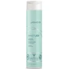 Joico - INNERJOI drėkinamasis šampūnas 300 ml
