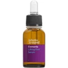 Juliette Armand Elements Lifting Fort Face Serum liftinguojantis ir stangrinantis serumas, 20 ml