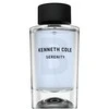 Kenneth Cole Serenity EDT tualetinis vanduo vyrams, 100 ml