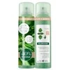 Klorane Purifying Sausas šampūnas Nettle Dark Hair sausas šampūnas, 2 x 150 ml