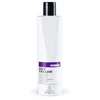 Light Irridiance Tech Division Out Geltona Šampūnas nuo geltono atspalvio 300ml