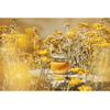 "L'occitane Immortelle Divine" kremas 50ml