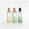 Loewe Aire Sutileza Eliksyras EDP Purškiklis, 50 ml