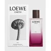 Loewe Earth Eliksyras EDP parfumuotas vanduo unisex, 100 ml