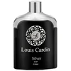 Louis Cardin Sidabrinis Homme EDP parfumuotas vanduo vyrams, 100 ml