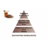 Maison Berger Paris Katalizinės lempos užpildas "Enchanting Sandalwood" "Enchanting Sandalwood" (lempos užpildas) 500 ml